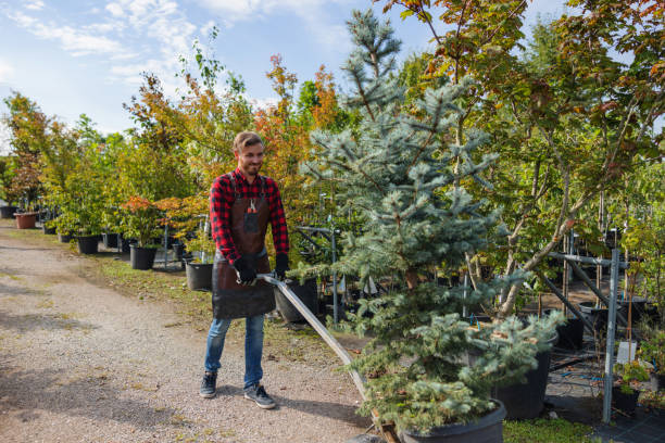 Lawn Watering Services in North Baltimore, OH